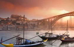 Douro Cruiser